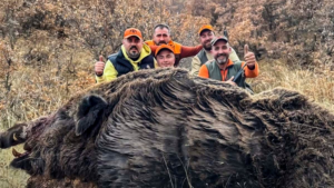 Abaten un enorme jabalí de más de 200 kilos que corrió hacia este cazador